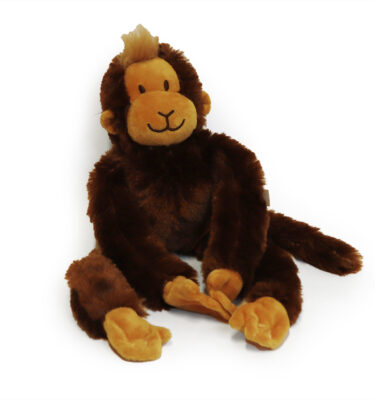 Gijsje Eigenwijsje Aap